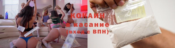 ECSTASY Алзамай